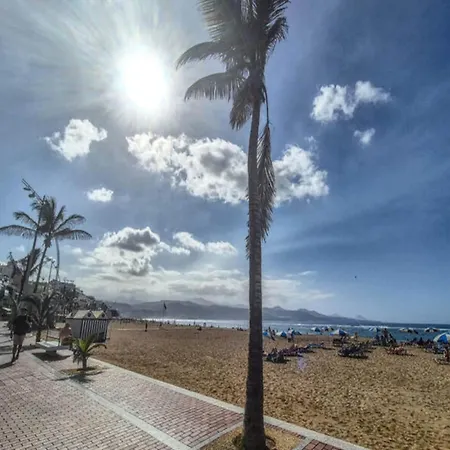 In Palmas De Gran Canaria
